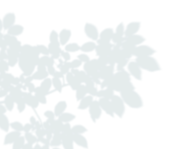 kestrel touchscreen header leaf